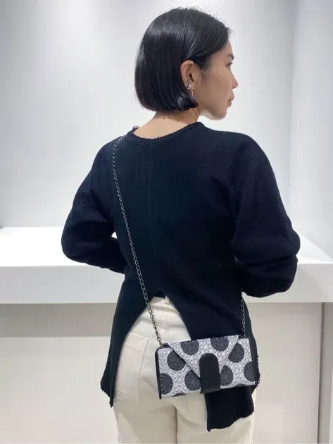 HIROKO HAYASHI クラッチバッグ　長財布　別うリチェーン付き チェーン付長財布用 ロングチェーン（キーケース・キーホルダー