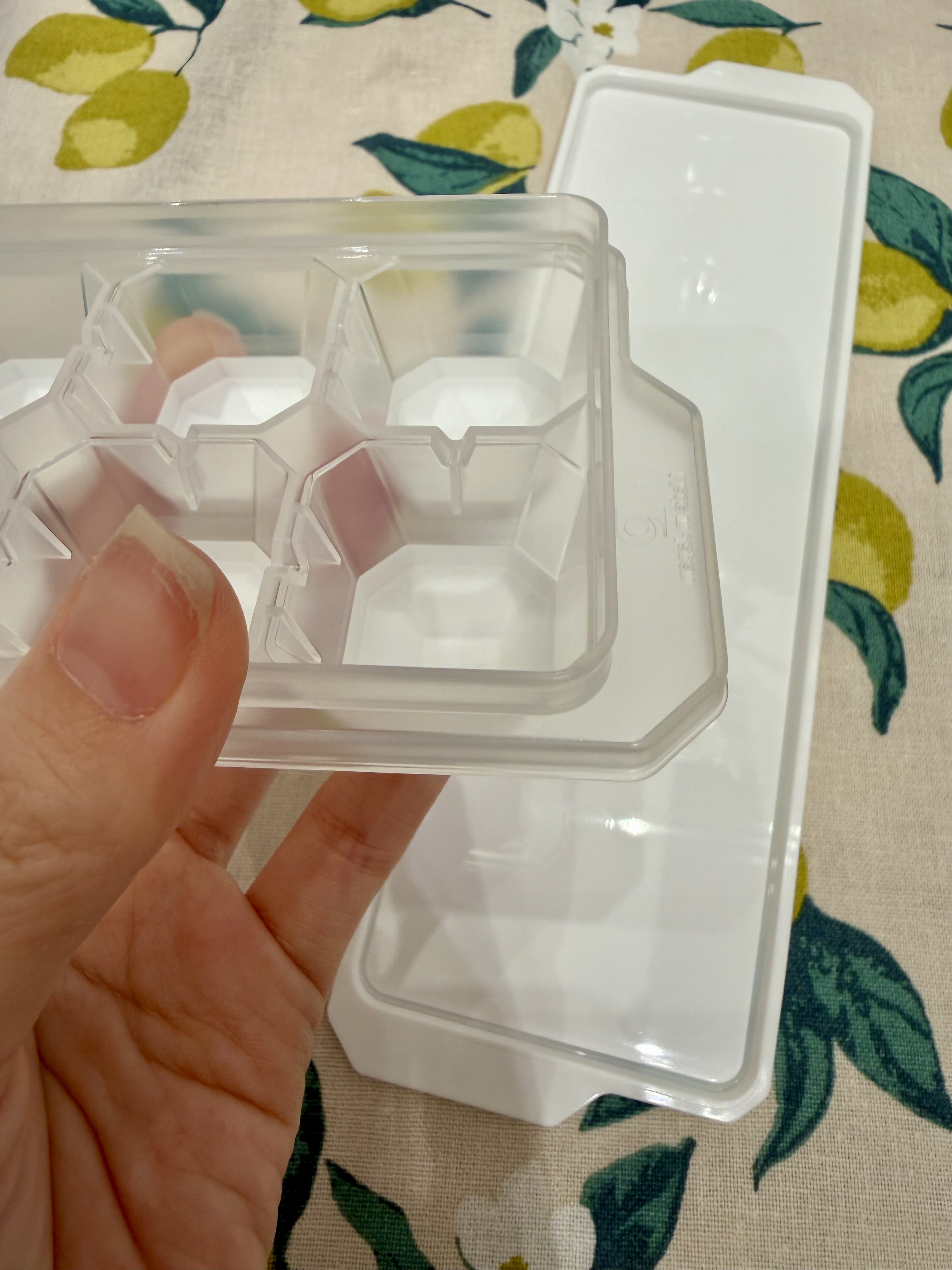きのこさんの「212 KITCHEN STORE｜冷た倶楽部 取り出しやすいスティックアイストレー (蓋付)」を使ったコーディネート