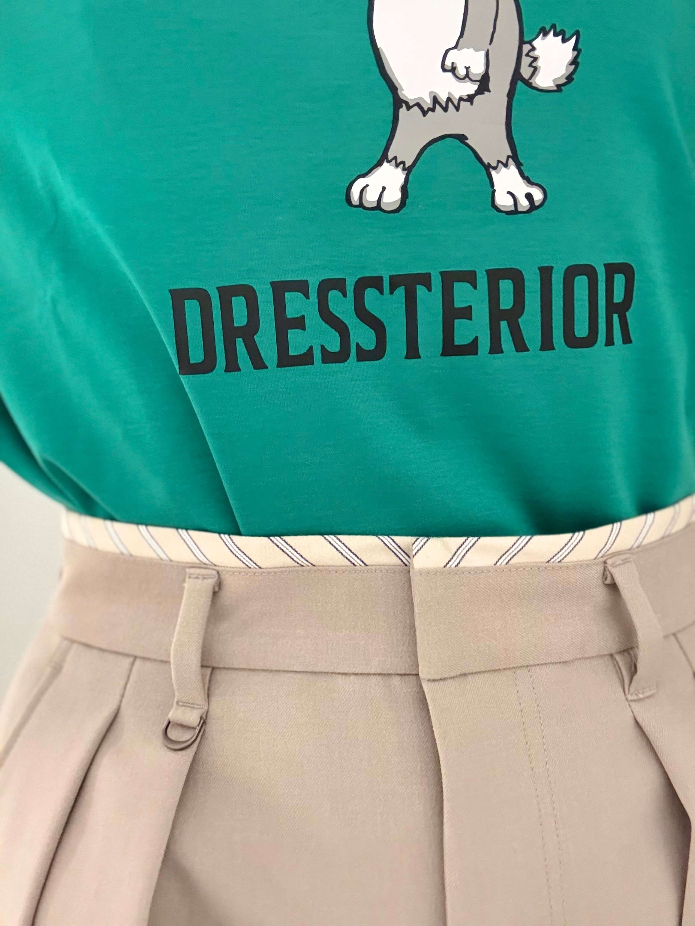 Yamaさんの「DRESSTERIOR｜【接触冷感／抗菌防臭／消臭】アイスクリアコットン ピストルラビットT」を使ったコーディネート