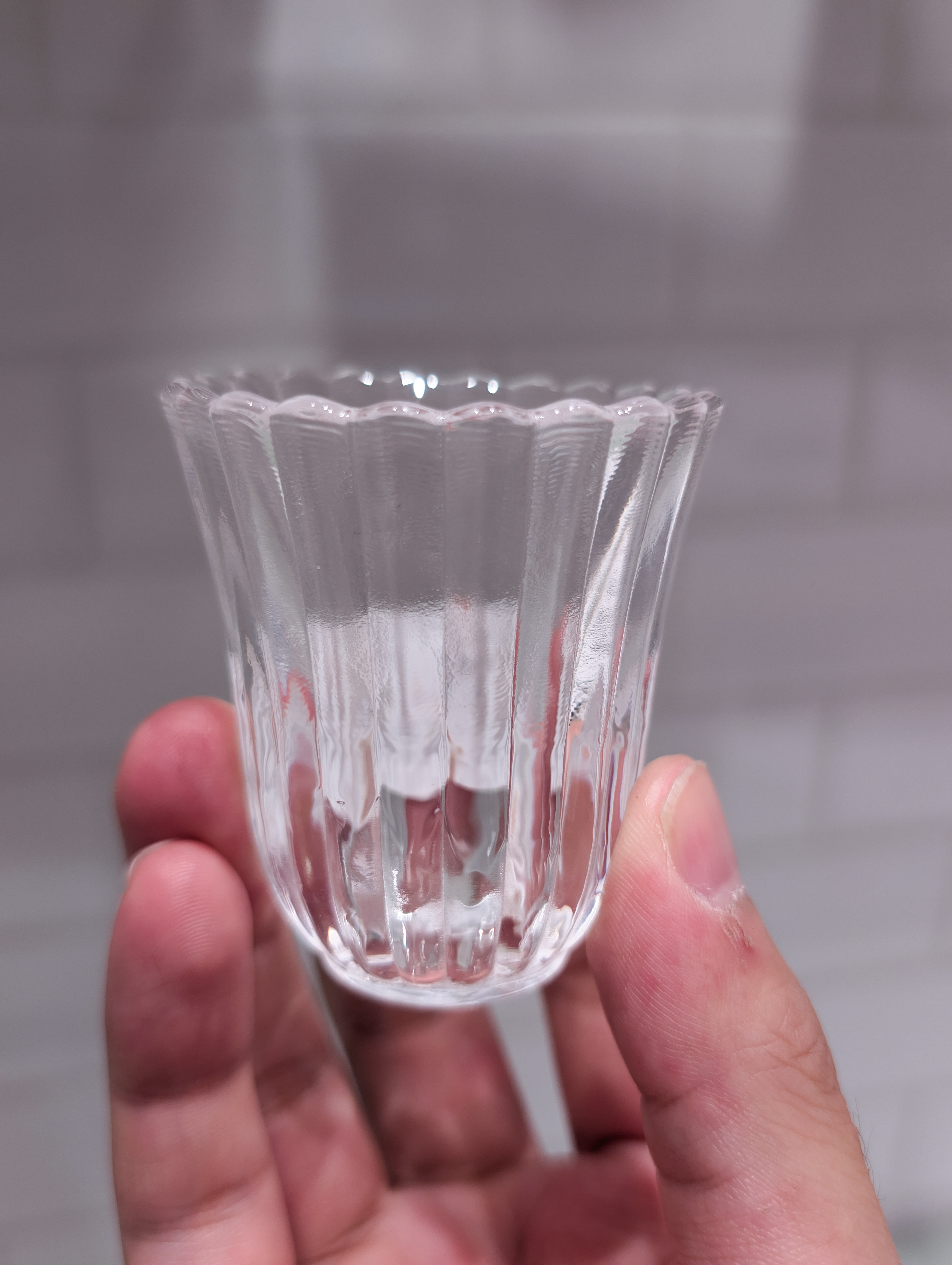 シモさんの「212 KITCHEN STORE｜菊割 盃」を使ったコーディネート