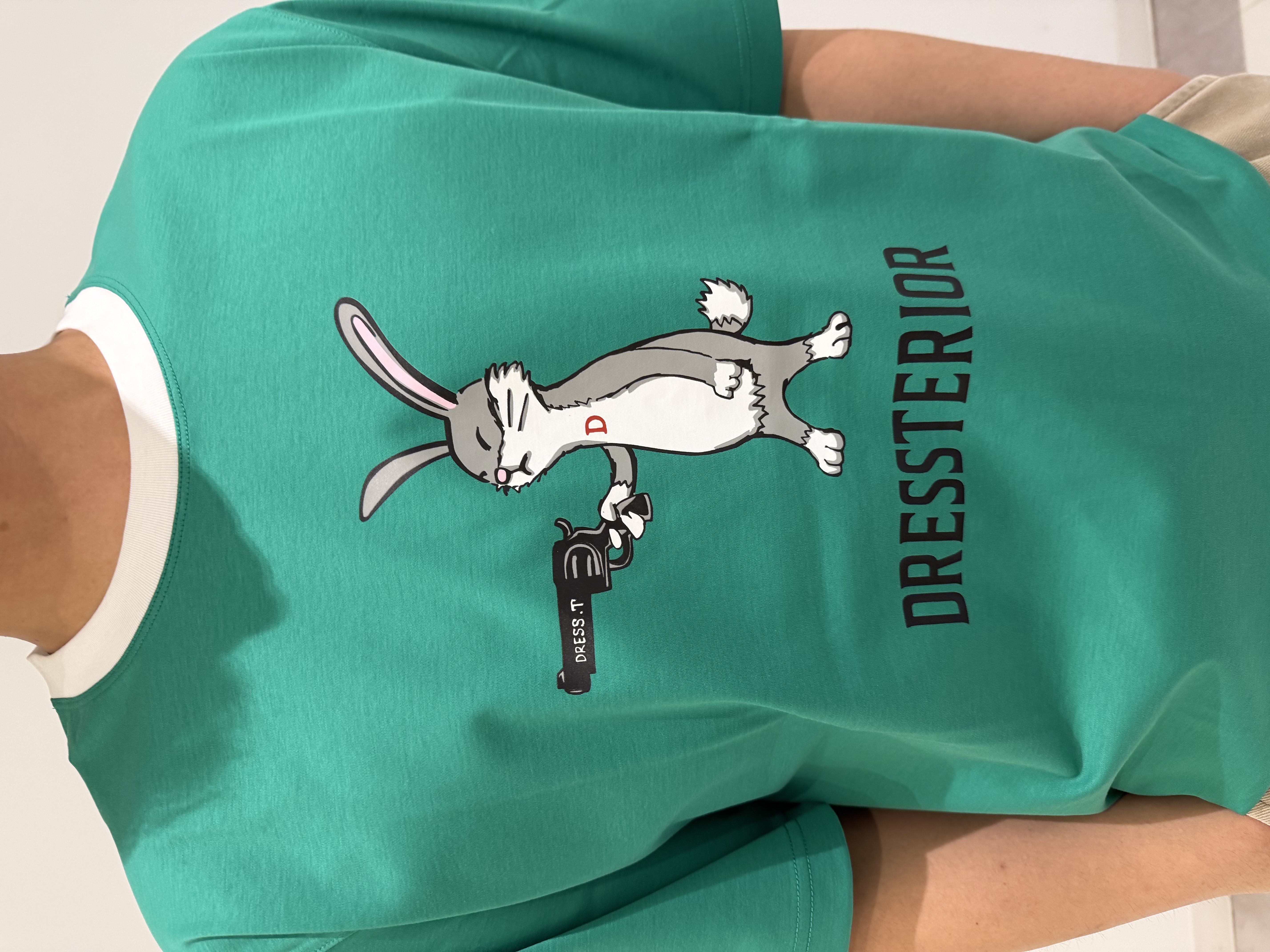 MATSUBARAさんの「DRESSTERIOR｜【接触冷感／抗菌防臭／消臭】ICE CLEAR COTTON ガンラビットTシャツ」を使ったコーディネート