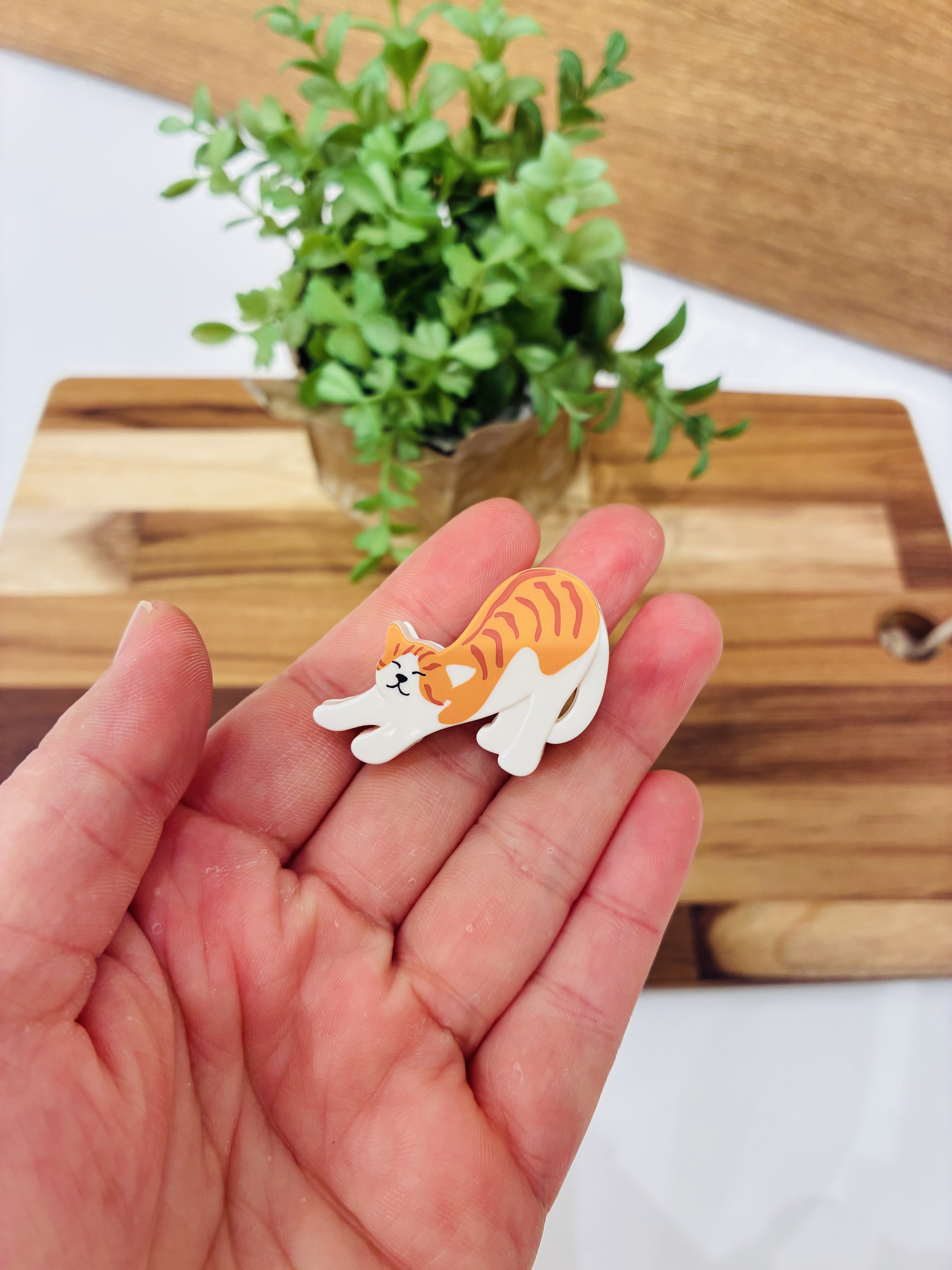 あーちゃんさんの「212 KITCHEN STORE｜MIDORI マグネットクリップ ネコ」を使ったコーディネート