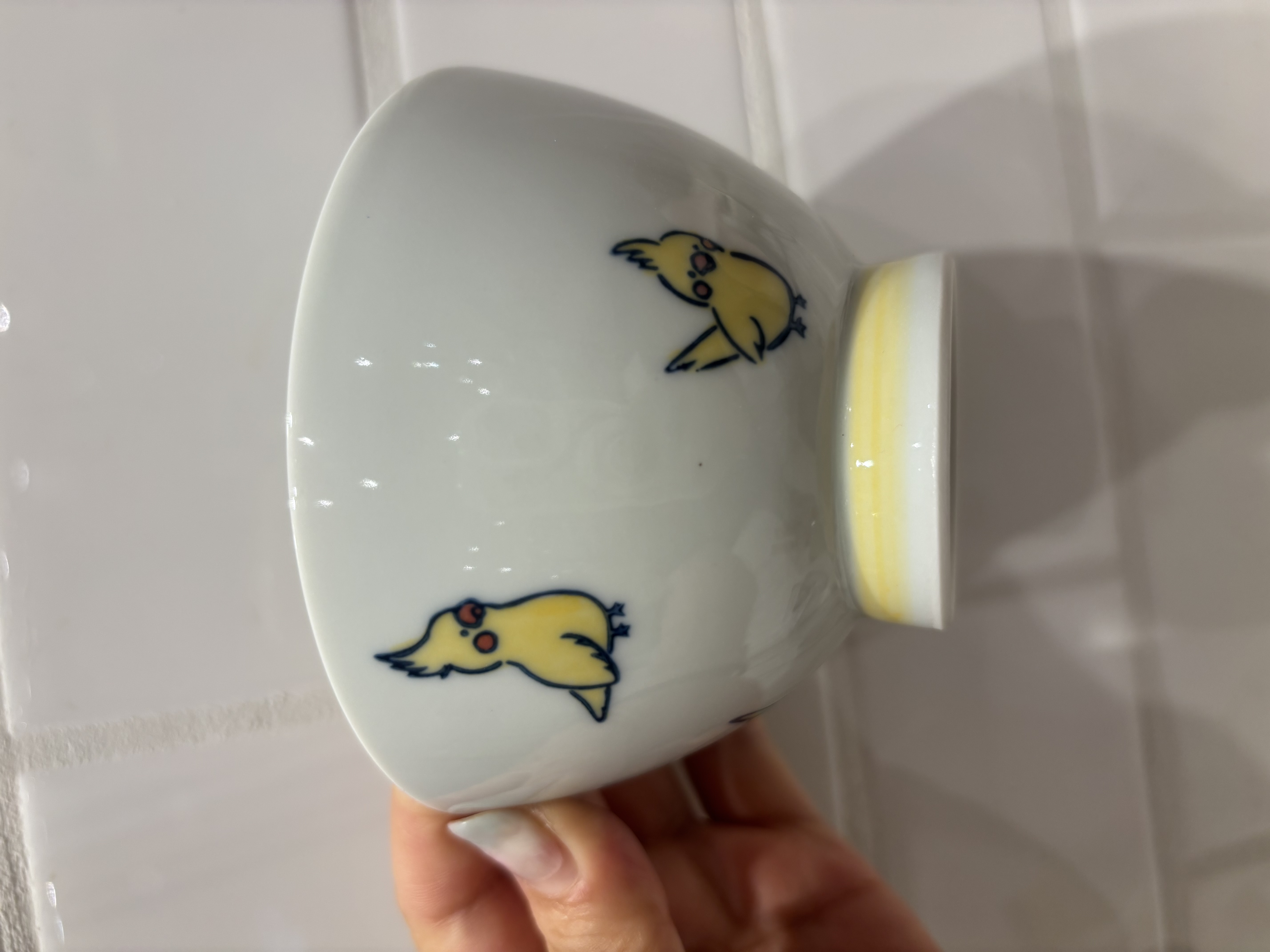iteさんの「212 KITCHEN STORE｜corottori 飯碗 セキセイインコ 青」を使ったコーディネート