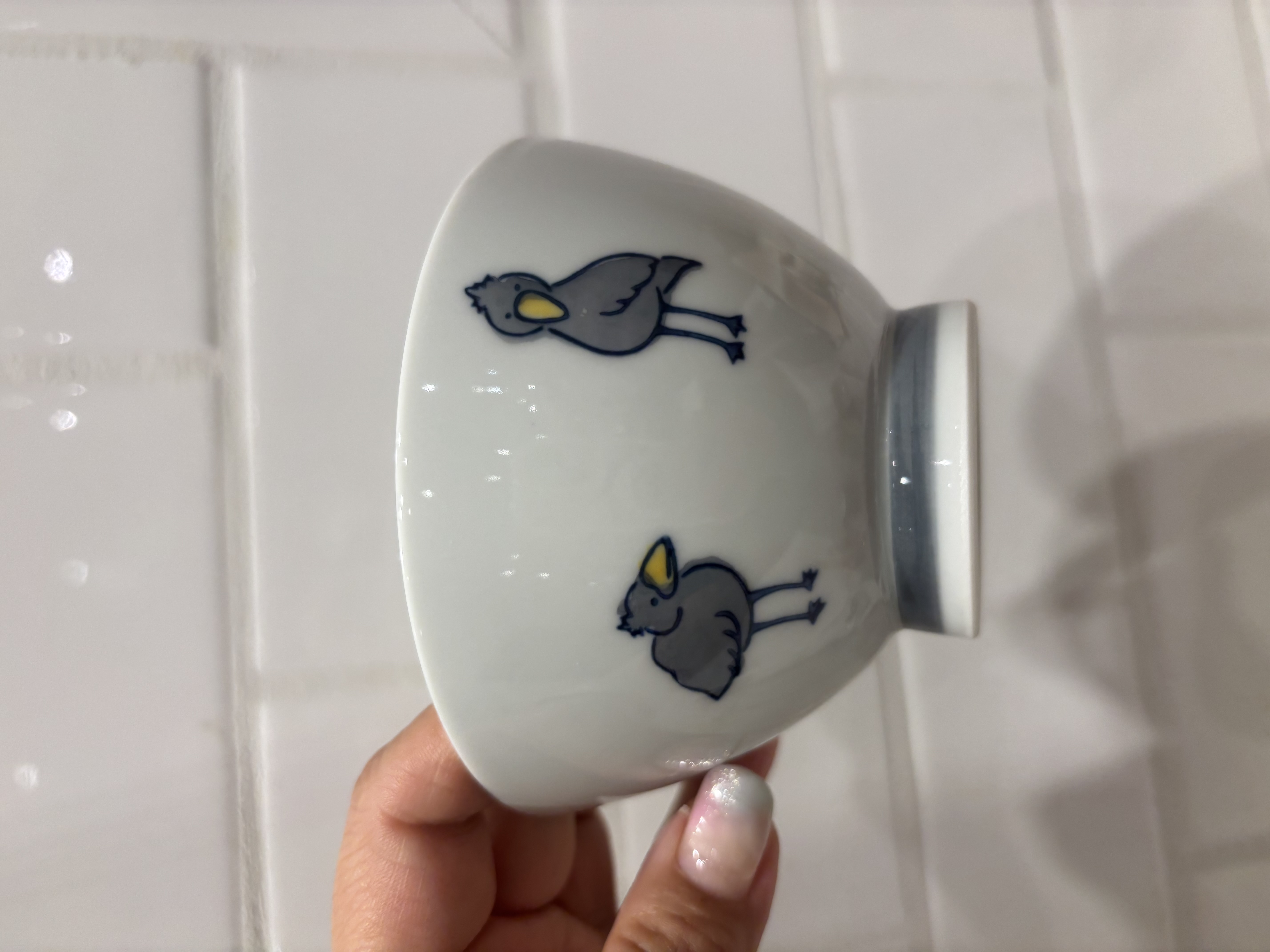 iteさんの「212 KITCHEN STORE｜corottori 飯碗 セキセイインコ 青」を使ったコーディネート