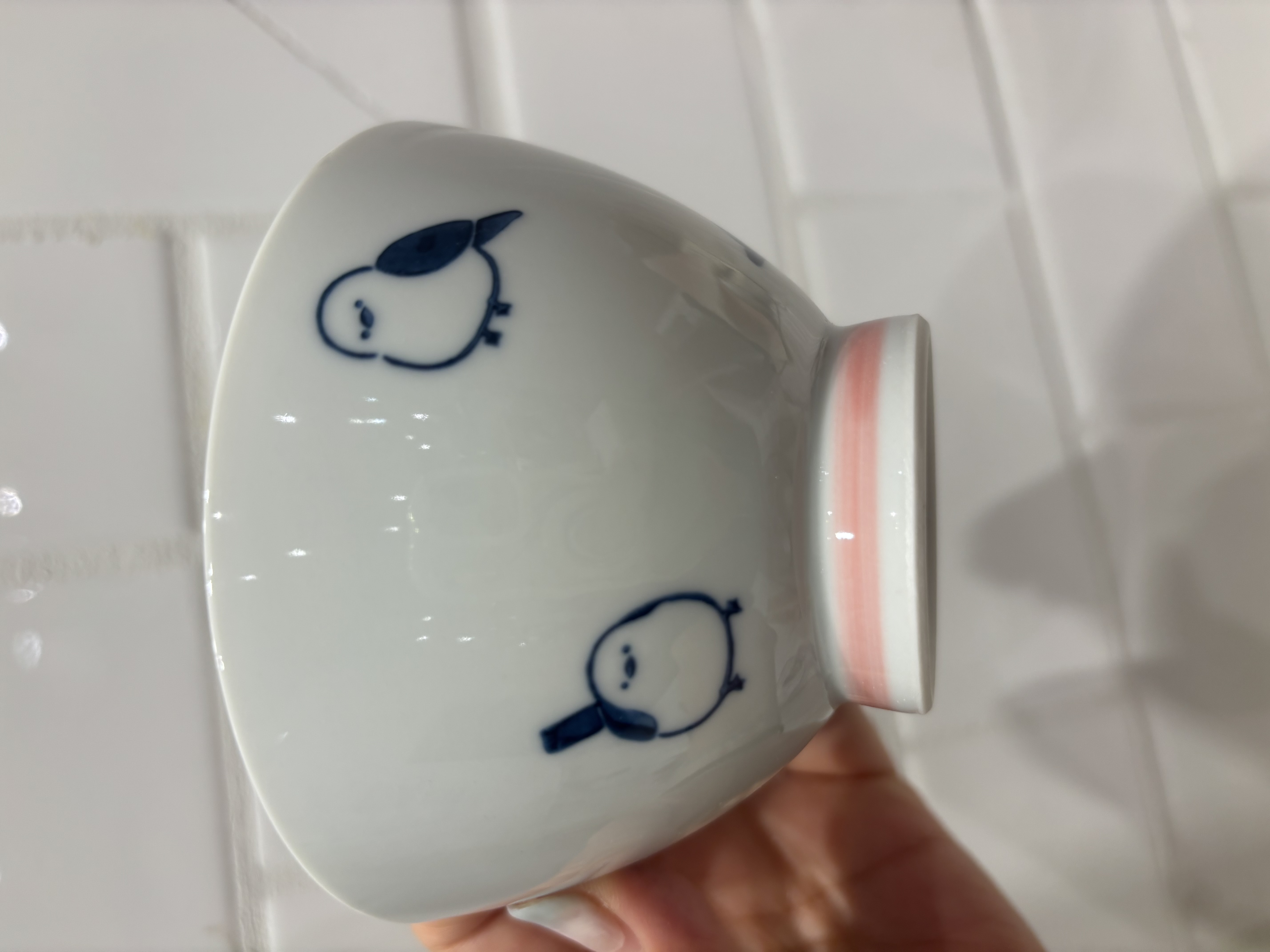 iteさんの「212 KITCHEN STORE｜corottori 飯碗 セキセイインコ 青」を使ったコーディネート