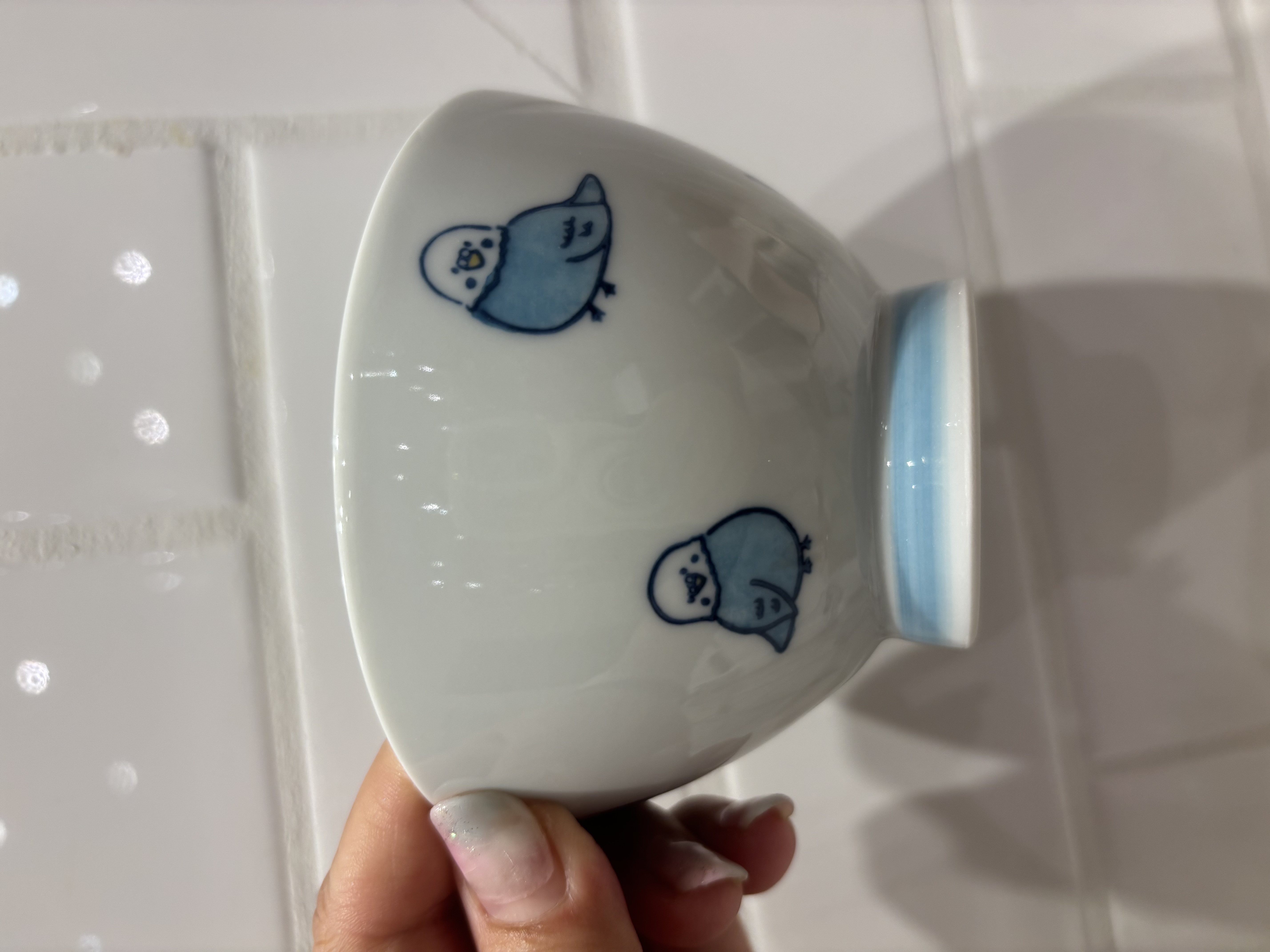 iteさんの「212 KITCHEN STORE｜corottori 飯碗 セキセイインコ 青」を使ったコーディネート