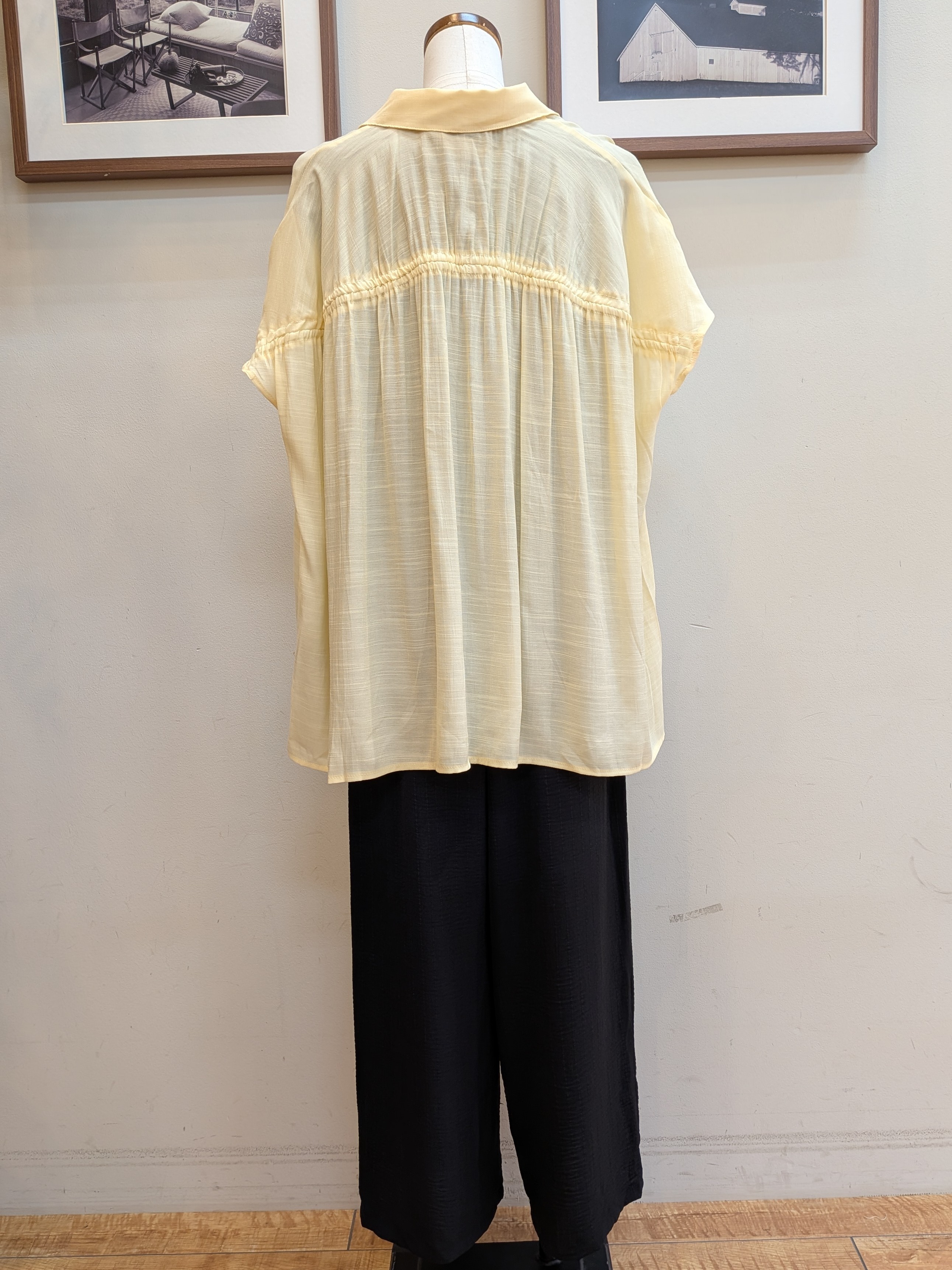 うっちーさんの「SHOO･LA･RUE｜【ひんやり/UV】ほんのりシアーで上品な バックギャザーブラウス」を使ったコーディネート