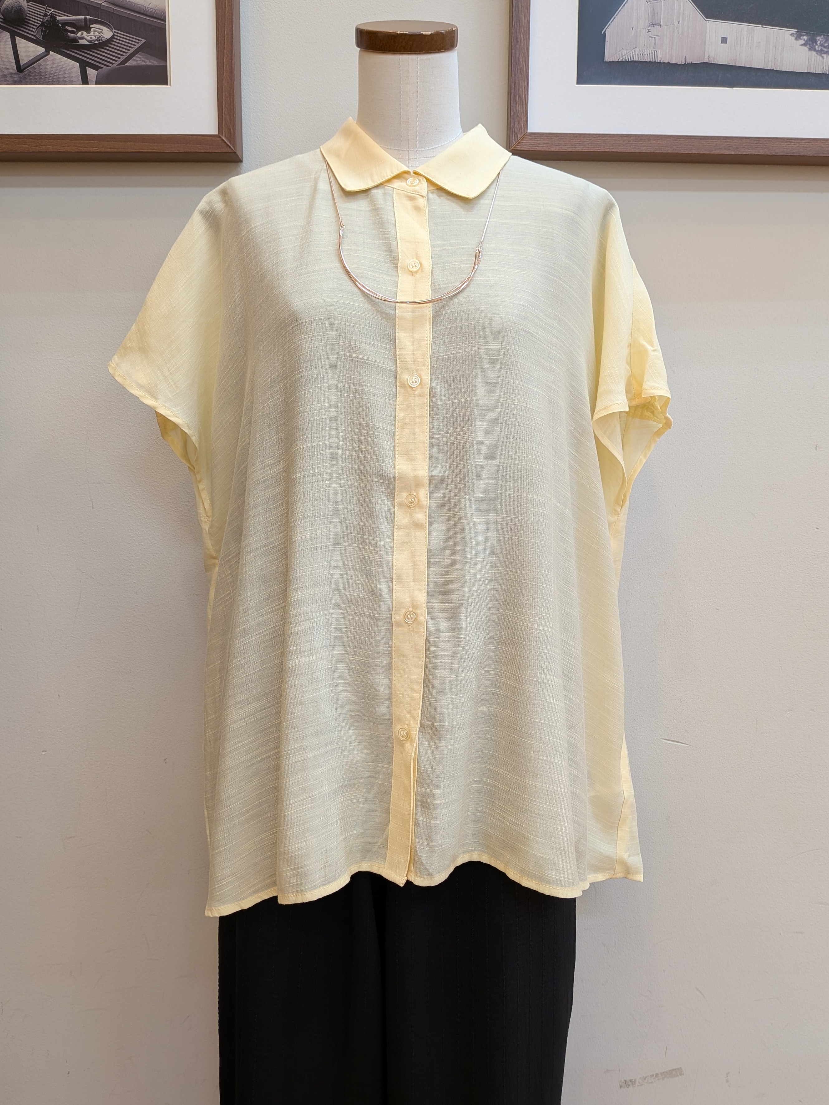 うっちーさんの「SHOO･LA･RUE｜【ひんやり/UV】ほんのりシアーで上品な バックギャザーブラウス」を使ったコーディネート