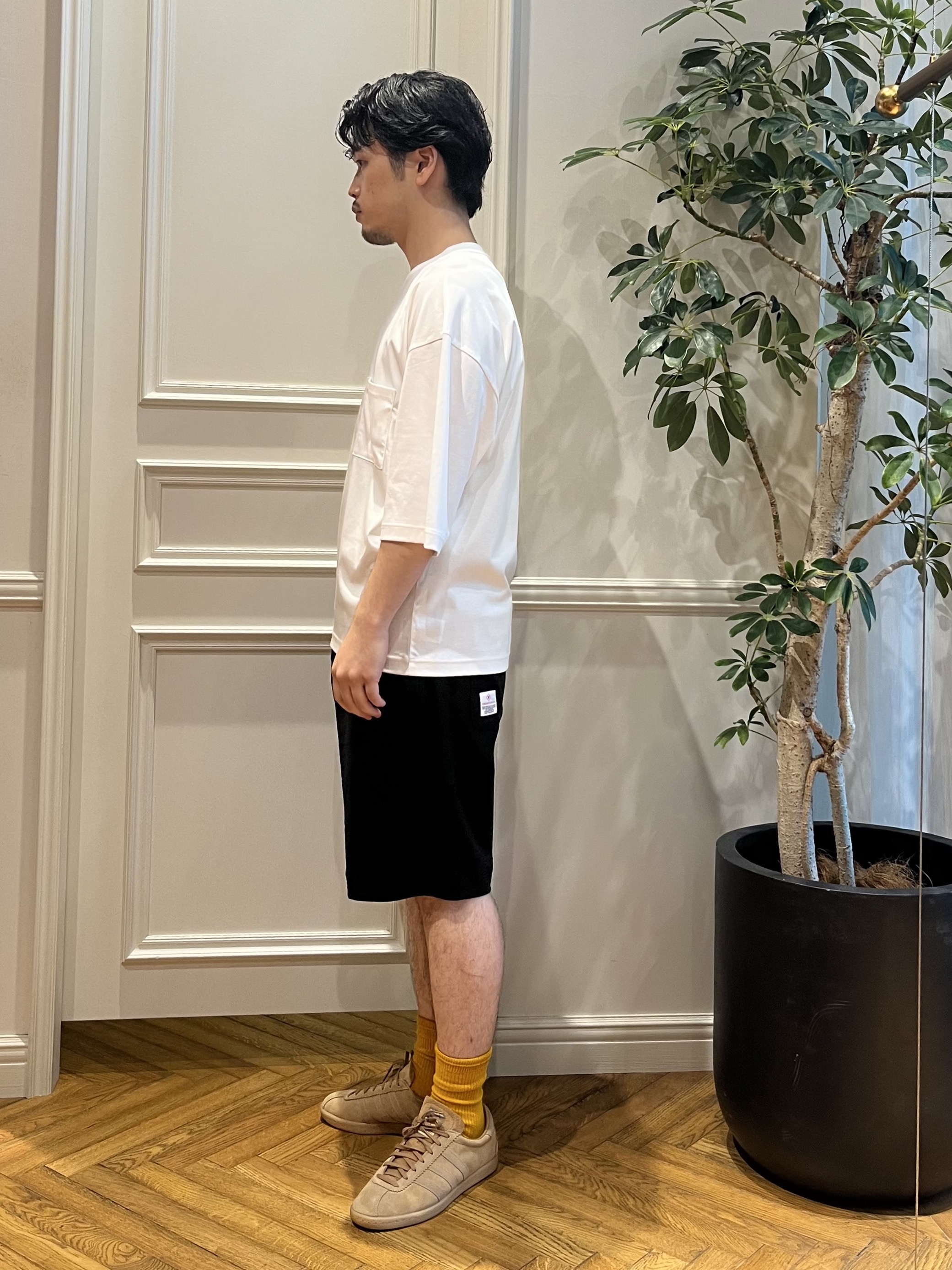 Tokuさんの「DRESSTERIOR｜【干場義雅&times;DRESSTERIOR】ICE CLEAR COTTON Tシャツ」を使ったコーディネート