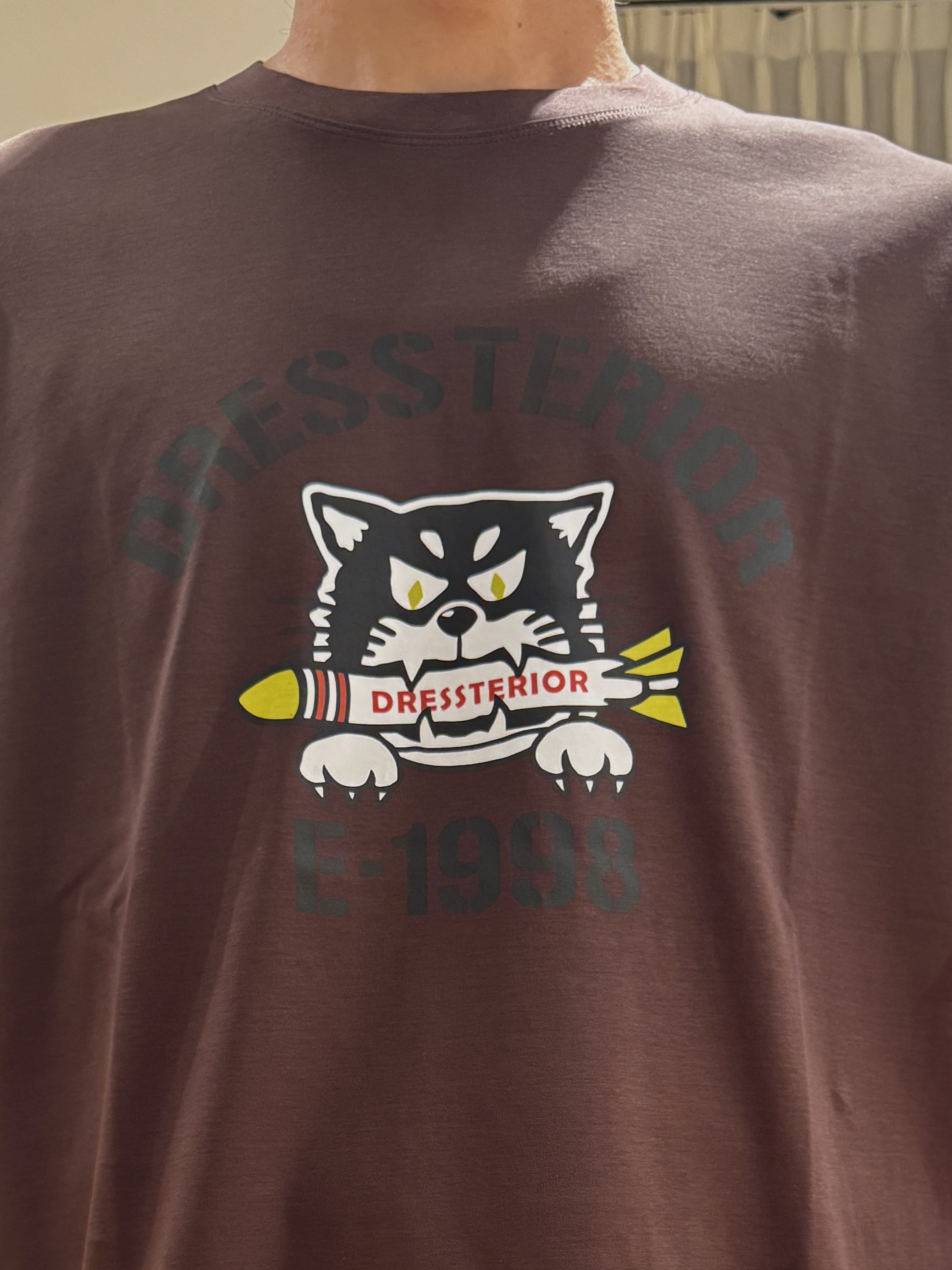kawarataniさんの「DRESSTERIOR｜【接触冷感／抗菌防臭／消臭】ICE CLEAR COTTON ミサイルキャットTシャツ」を使ったコーディネート