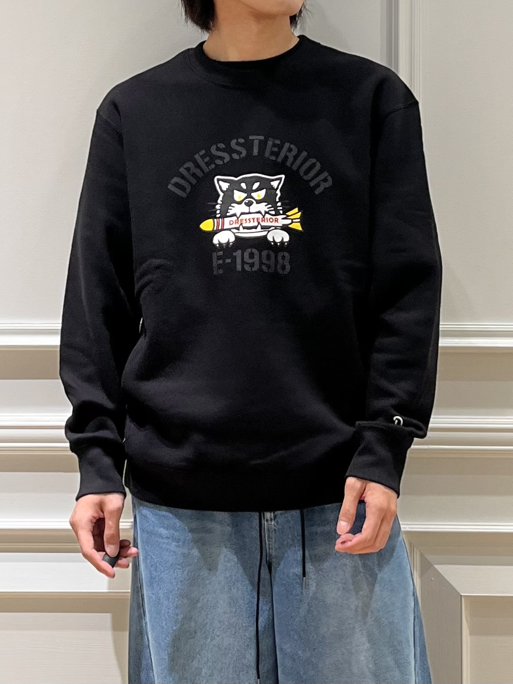 Watanabeさんの「DRESSTERIOR｜ミサイルキャット 裏起毛スウェットクルーネックTシャツ」を使ったコーディネート